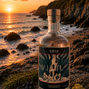 Gwyr Gin Port Eynon Dry Gin