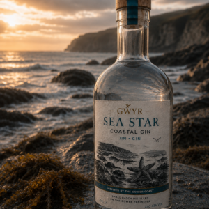 Gwyr Sea Star Coastal Gin